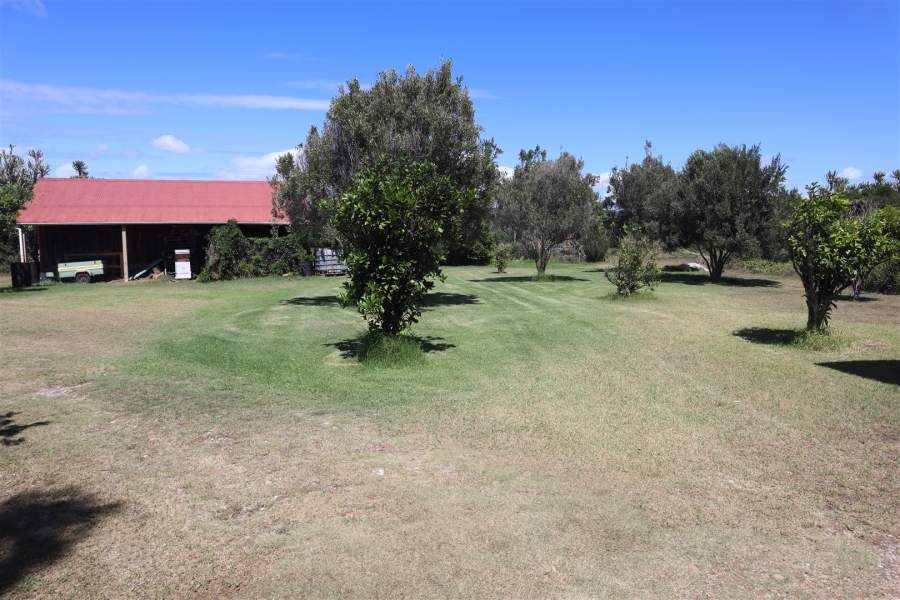 Commercial Property for Sale in Kabeljauws Eastern Cape